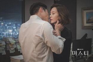 韩剧迷雾 在线观看,揭开真相的迷雾重重  第2张